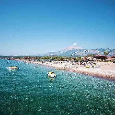 Otel Mg White Lilyum
